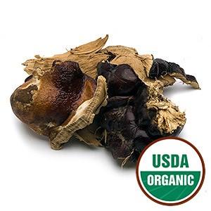 Reishi Mushroom - Christopher's Herb Shop